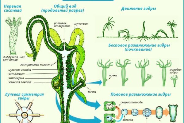 Как восстановить аккаунт на кракене