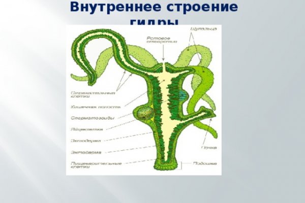 Как открыть кракен