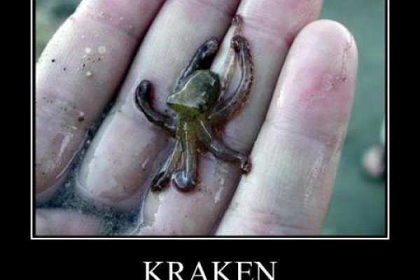 Кракен krakens13 at