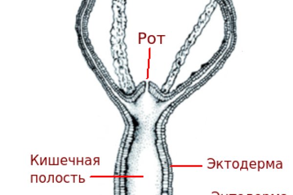 Купон кракен даркнет