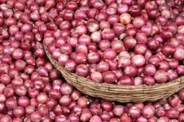 Прямая ссылка на кракен